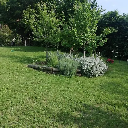 Bed & Breakfast Myricae