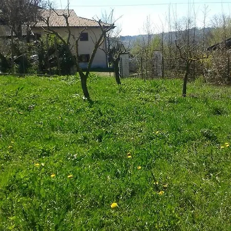 Myricae 3*