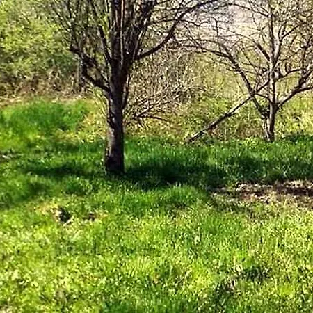 Bed & Breakfast Myricae Farigliano