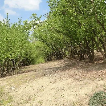 לינה וארוחת בוקר Myricae *