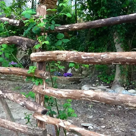 Bed & Breakfast Myricae